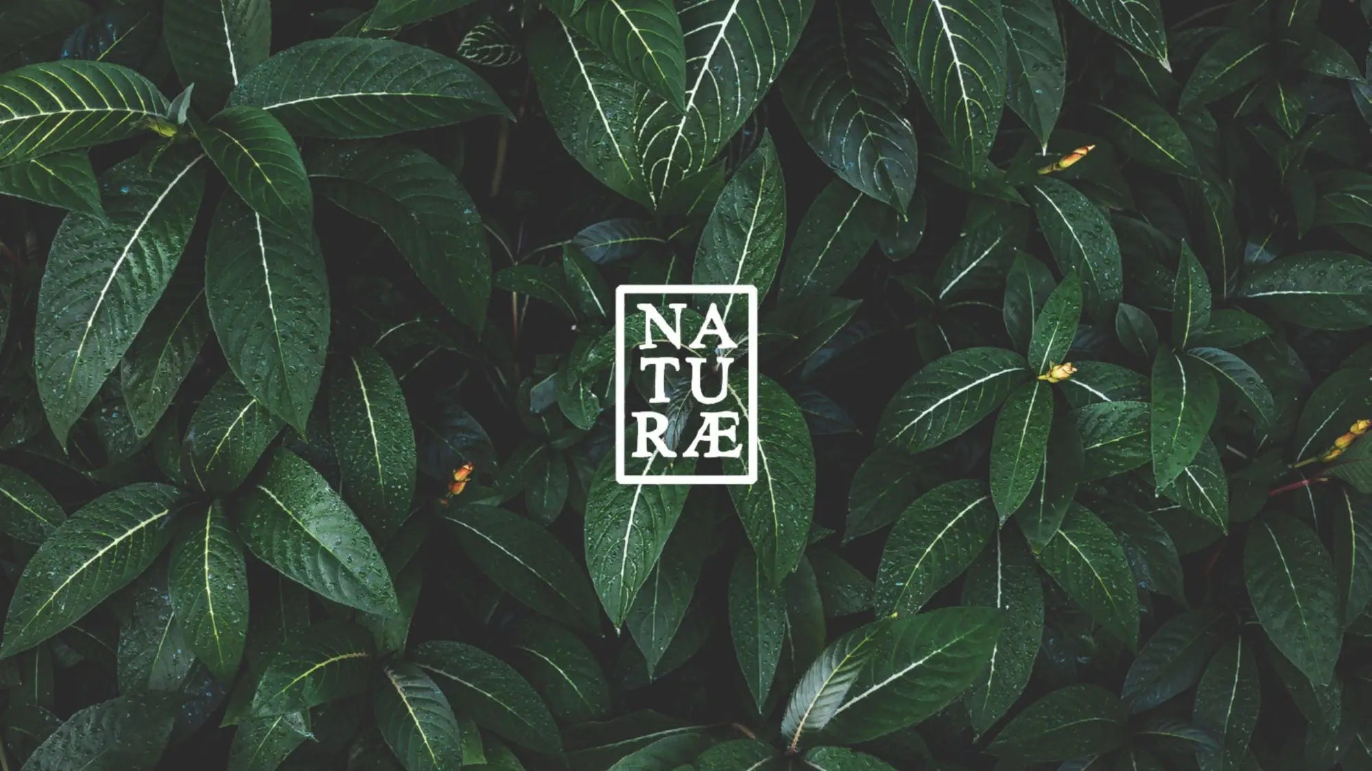 Naturæ Gin