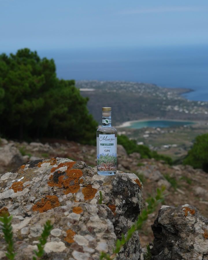 MueGin - Pantelleria Gin