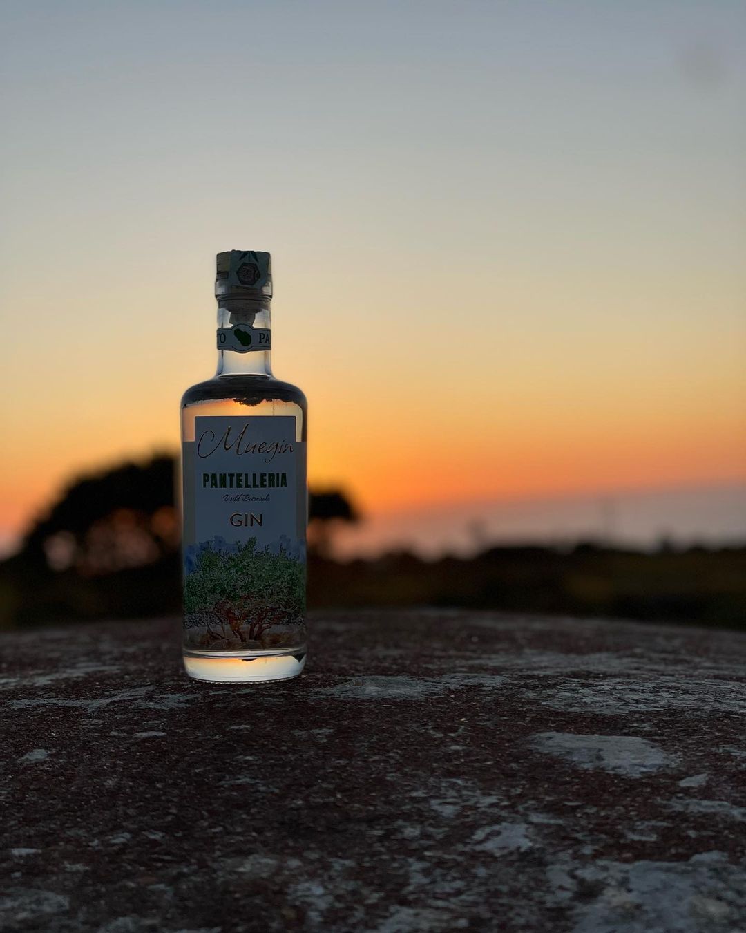 MueGin - Pantelleria Gin