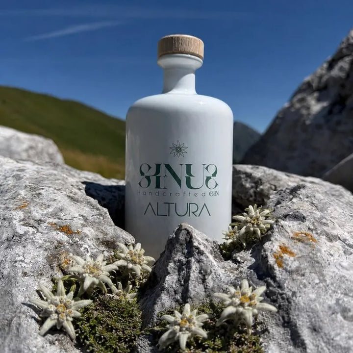 Sinus Altura gin artigianale alpino bottiglia su roccia con stelle alpine – gin italiano botaniche montagna