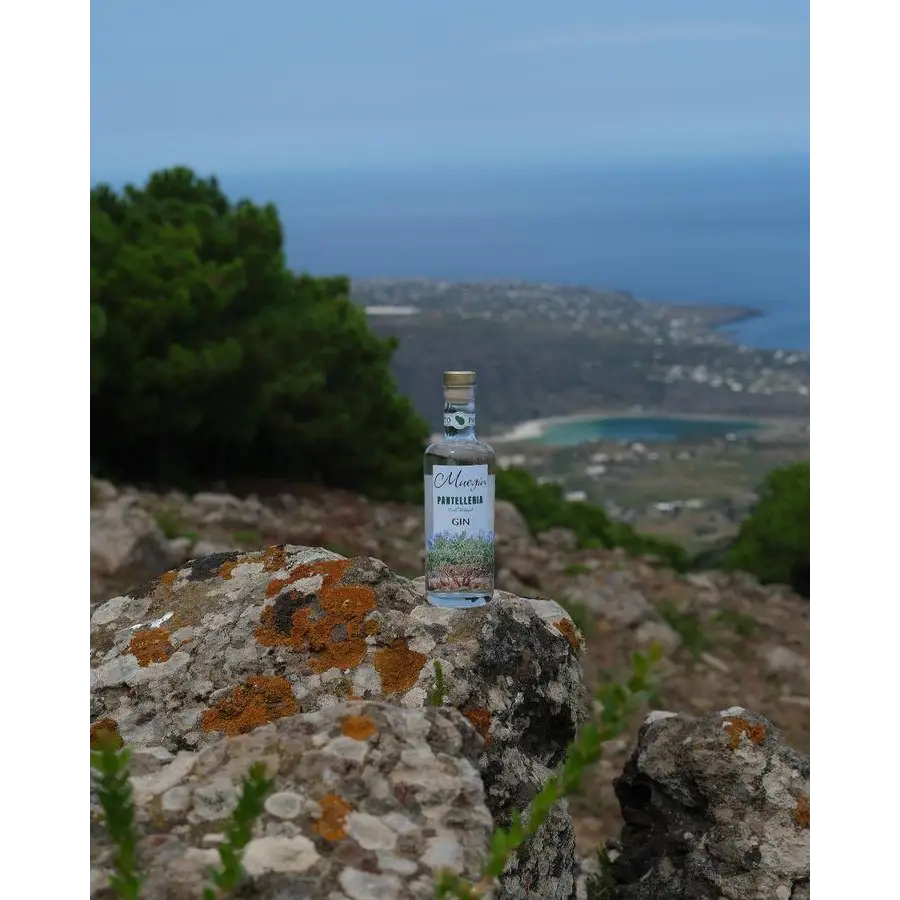 Box - La Monogram - MueGin - Pantelleria Gin - Limited Edition - Spedizione Gratuita - 500ml / Jigger + Barspoon / 10