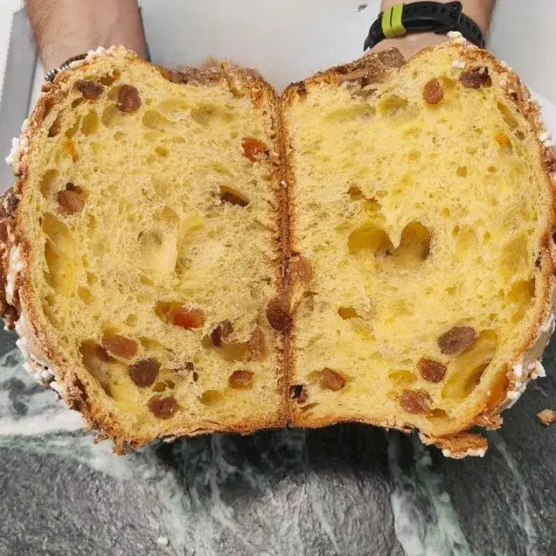 Panettone Classico Artigianale + Gin Zen Ediktiv Agrumato – Christmas Box - 700ml / Classico 500g - Distilled Gin