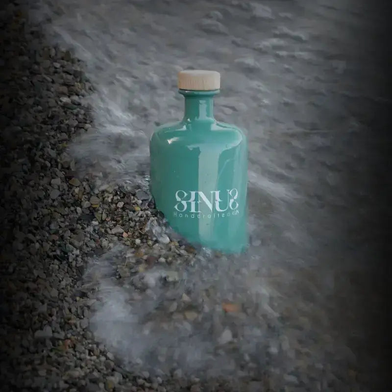 Sinus Gin immerso tra i ciottoli e le onde del lago – spirito selvaggio e connessione con la natura incontaminata.